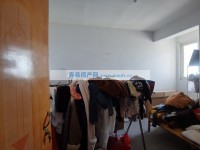 其它圖